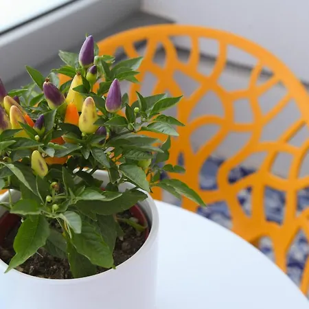 Apartamento Mavilan Luxury *